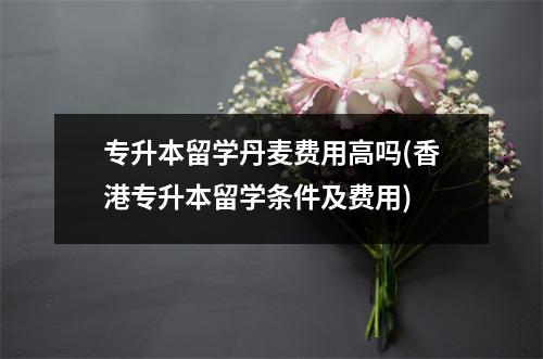 专升本留学丹麦费用高吗(香港专升本留学条件及费用)