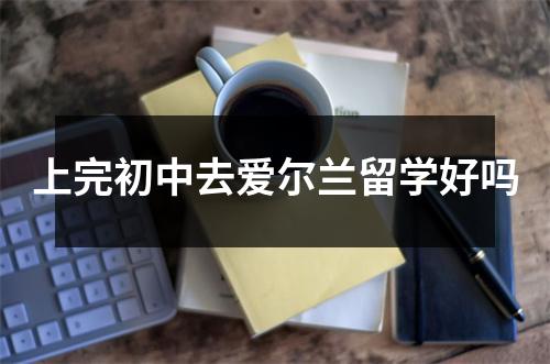 上完初中去爱尔兰留学好吗