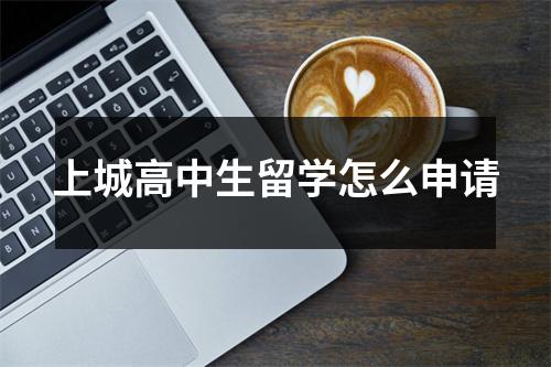 上城高中生留学怎么申请