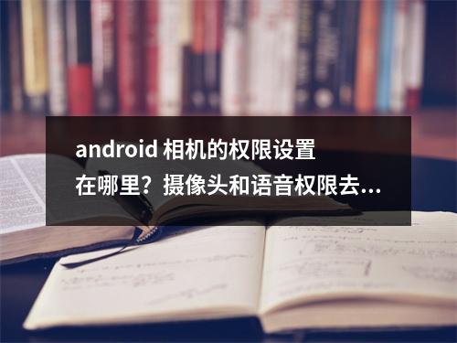 android 相机的权限设置在哪里？摄像头和语音权限去哪里开