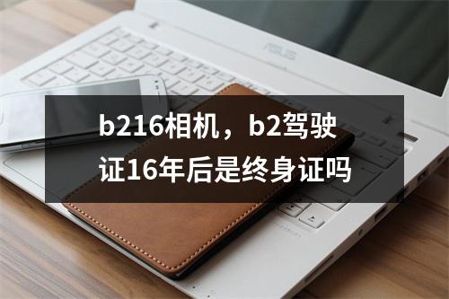 b216相机，b2驾驶证16年后是终身证吗