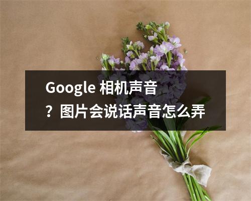 Google 相机声音？图片会说话声音怎么弄