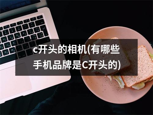 c开头的相机(有哪些手机品牌是C开头的)