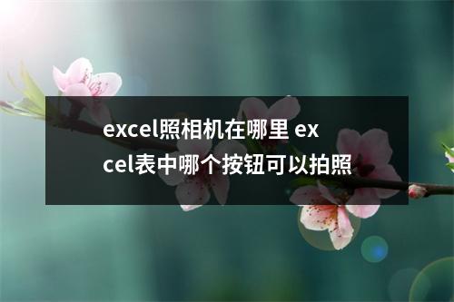 excel照相机在哪里 excel表中哪个按钮可以拍照