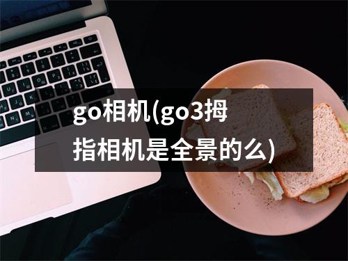 go相机(go3拇指相机是全景的么)