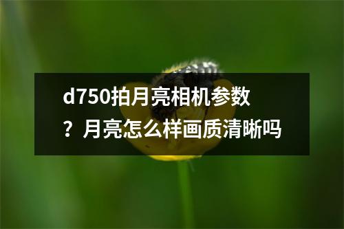 d750拍月亮相机参数？月亮怎么样画质清晰吗