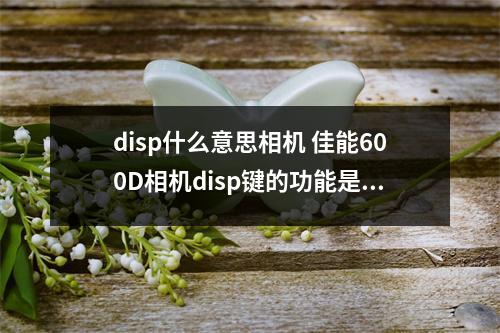 disp什么意思相机 佳能600D相机disp键的功能是什么