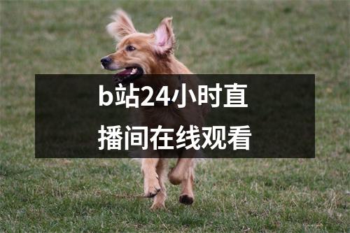 b站24小时直播间在线观看