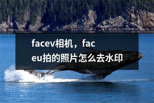 facev相机，faceu拍的照片怎么去水印