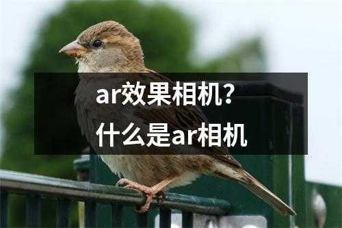 ar效果相机？什么是ar相机