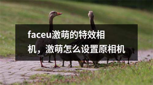 faceu激萌的特效相机，激萌怎么设置原相机