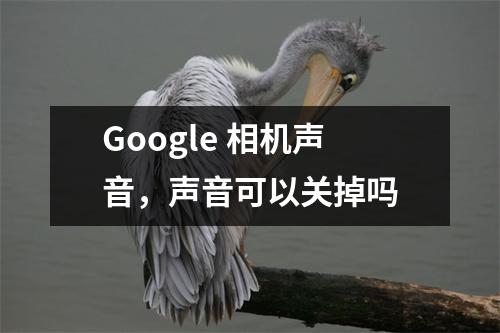 Google 相机声音，声音可以关掉吗