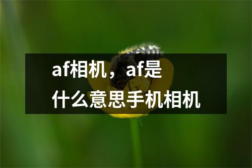 af相机，af是什么意思手机相机