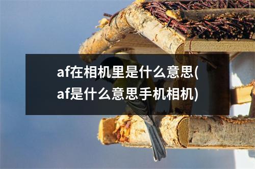 af在相机里是什么意思(af是什么意思手机相机)