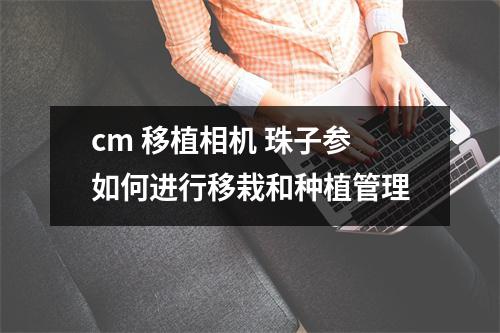 cm 移植相机 珠子参如何进行移栽和种植管理