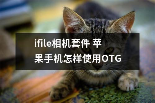 ifile相机套件 苹果手机怎样使用OTG