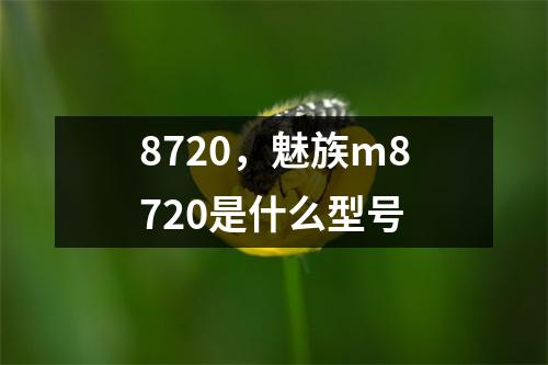 8720，魅族m8720是什么型号