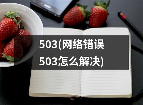 503(网络错误503怎么解决)