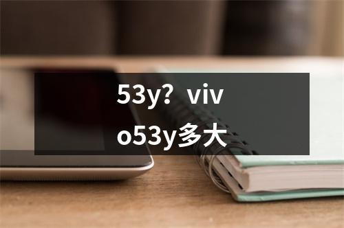 53y？vivo53y多大