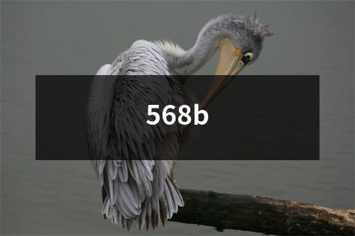 568b