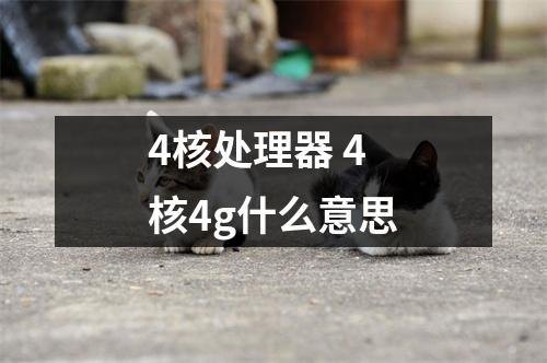 4核处理器 4核4g什么意思