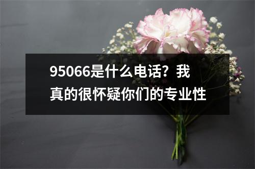 95066是什么电话？我真的很怀疑你们的专业性