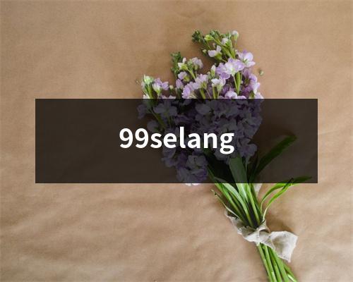 99selang