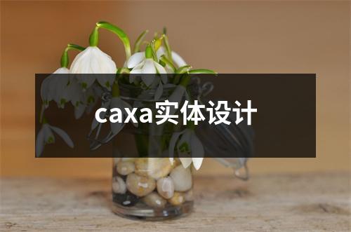 caxa实体设计