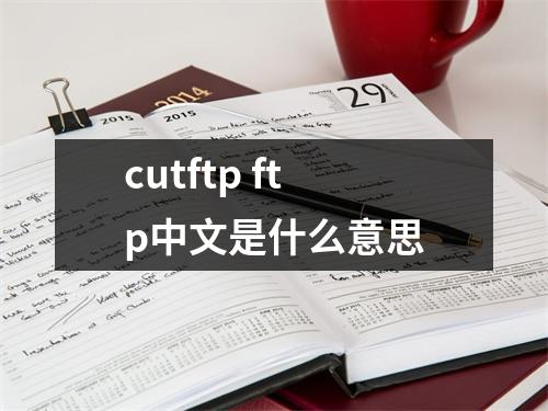 cutftp ftp中文是什么意思