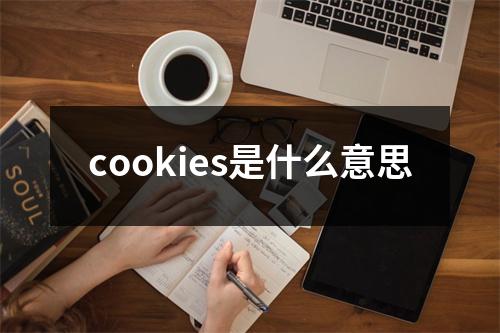 cookies是什么意思