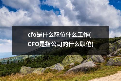 cfo是什么职位什么工作(CFO是指公司的什么职位)