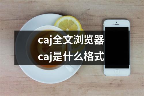 caj全文浏览器 caj是什么格式