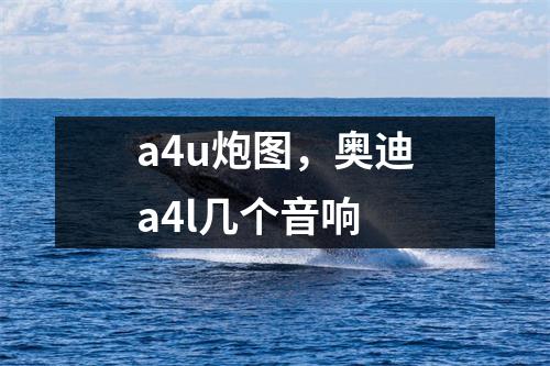 a4u炮图，奥迪a4l几个音响
