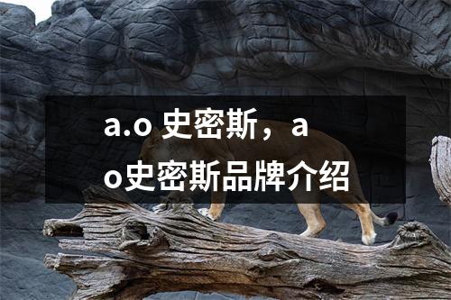 a.o 史密斯，ao史密斯品牌介绍