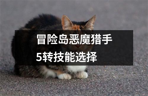 冒险岛恶魔猎手5转技能选择