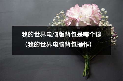 我的世界电脑版背包是哪个键（我的世界电脑背包操作）