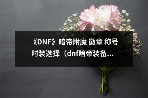 《DNF》暗帝附魔 徽章 称号 时装选择（dnf暗帝装备100级附魔）