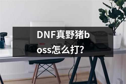 DNF真野猪boss怎么打？