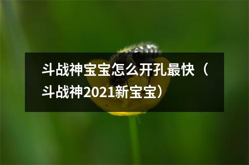 斗战神宝宝怎么开孔最快（斗战神2021新宝宝）