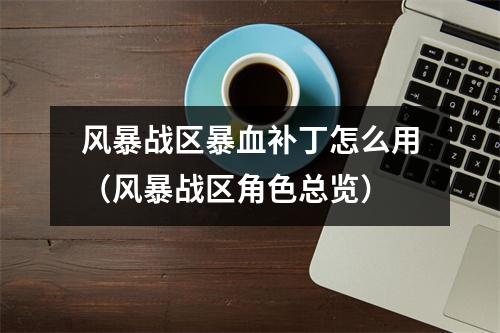 风暴战区暴血补丁怎么用（风暴战区角色总览）