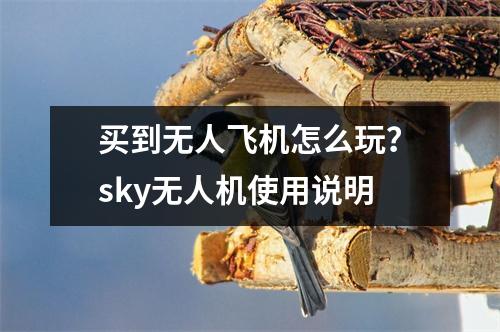 买到无人飞机怎么玩？sky无人机使用说明