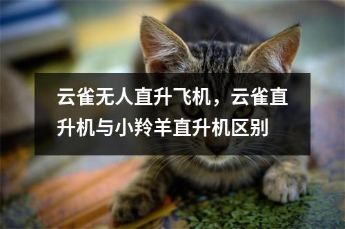 云雀无人直升飞机，云雀直升机与小羚羊直升机区别