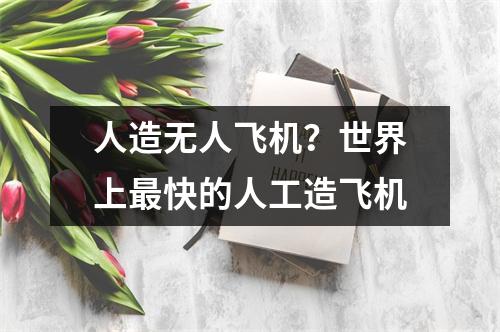 人造无人飞机？世界上最快的人工造飞机
