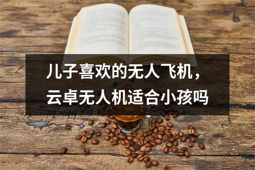 儿子喜欢的无人飞机，云卓无人机适合小孩吗