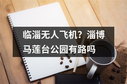 临淄无人飞机？淄博马莲台公园有路吗