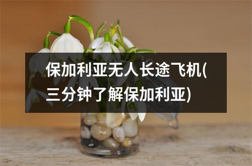 保加利亚无人长途飞机(三分钟了解保加利亚)