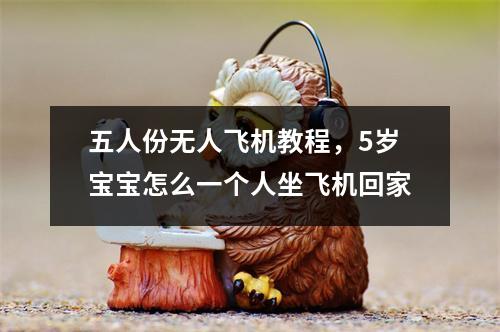 五人份无人飞机教程，5岁宝宝怎么一个人坐飞机回家