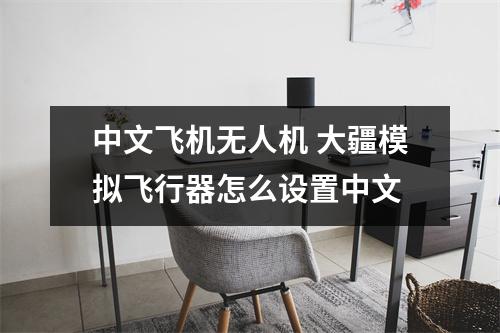 中文飞机无人机 大疆模拟飞行器怎么设置中文