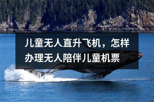 儿童无人直升飞机，怎样办理无人陪伴儿童机票