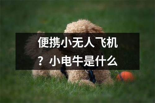 便携小无人飞机？小电牛是什么